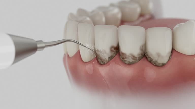 Reliable Dental contractor in Toulon, IL by Dentist Open Now